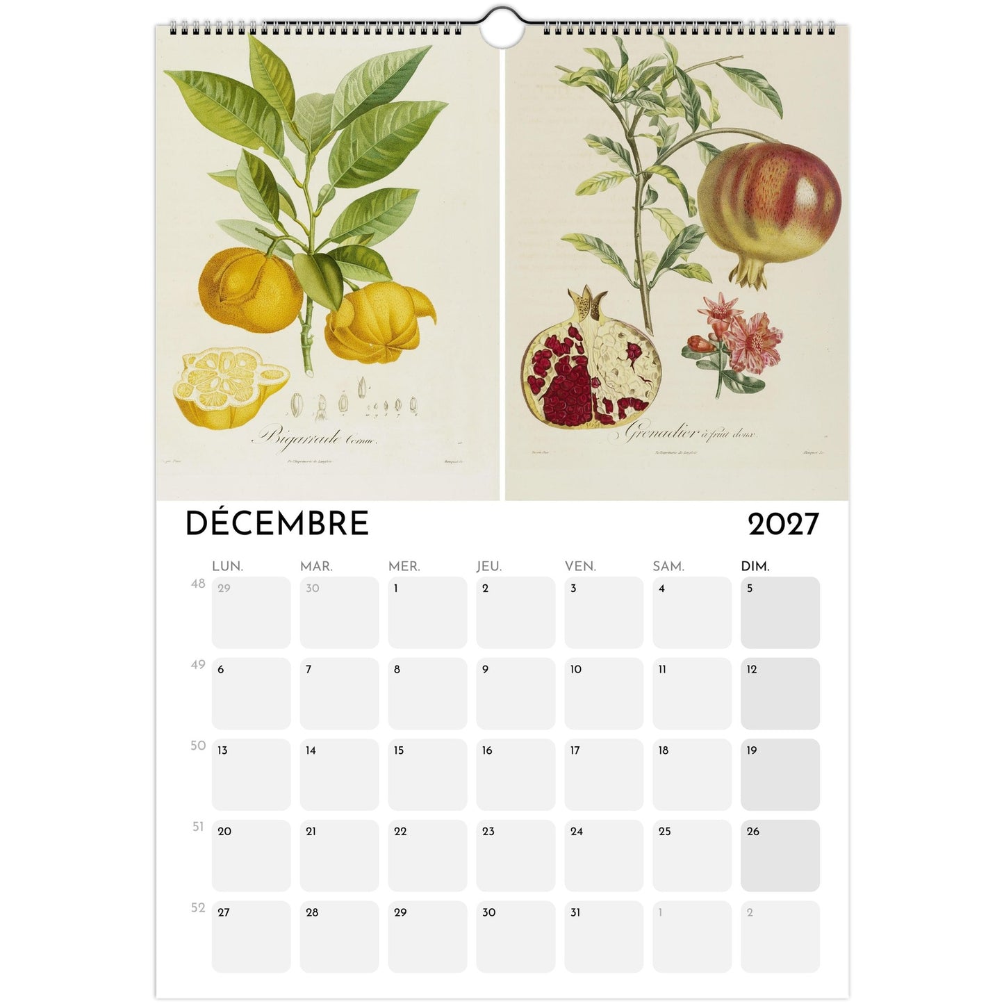 Calendrier botanique 2027 A3 illustré par Poiteau et Turpin : Décembre 2027
