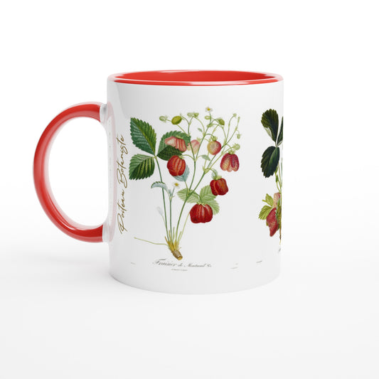 Mug fraise de Montreuil illustration botanique vintage anse et interieur rouge