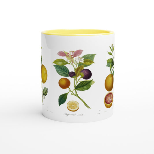 Mug illustration botanique orange bigarade violette anse et interieur jaune