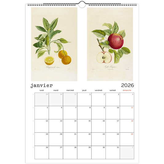 a094f498-f5b0-4721-8ad7-ebefe1a4f375