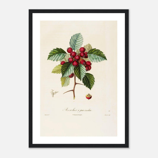 a791434c-2447-420b-830a-e310178e92bb