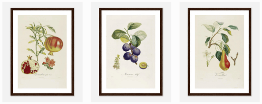 Le Guide Ultime : Comment sublimer votre décoration avec des affiches vintage ?