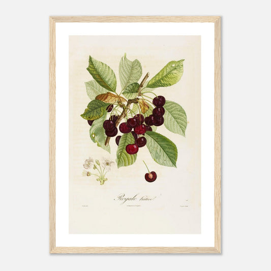 06bb56ab-4ae4-401c-b81a-25e3c7f80372