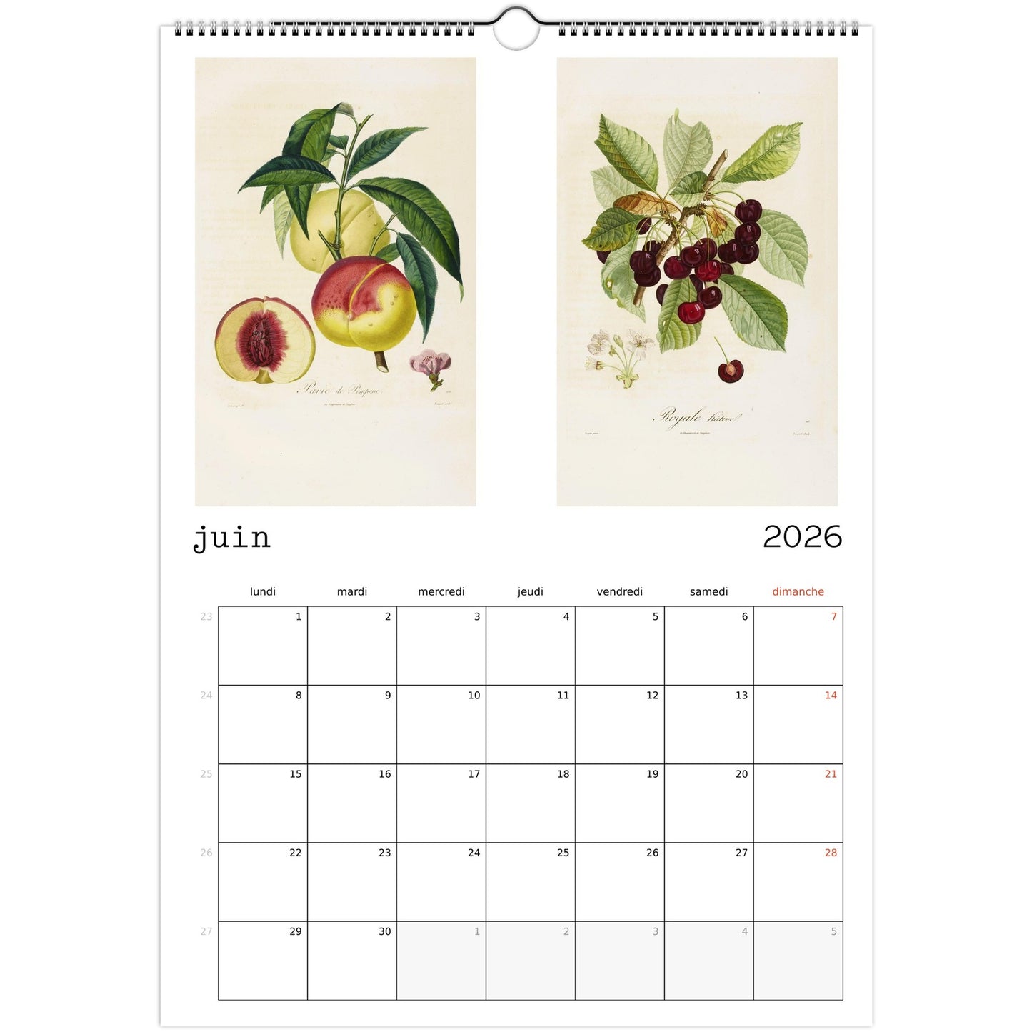 17c14777-35f4-4b27-856c-ab3058f2e8e0