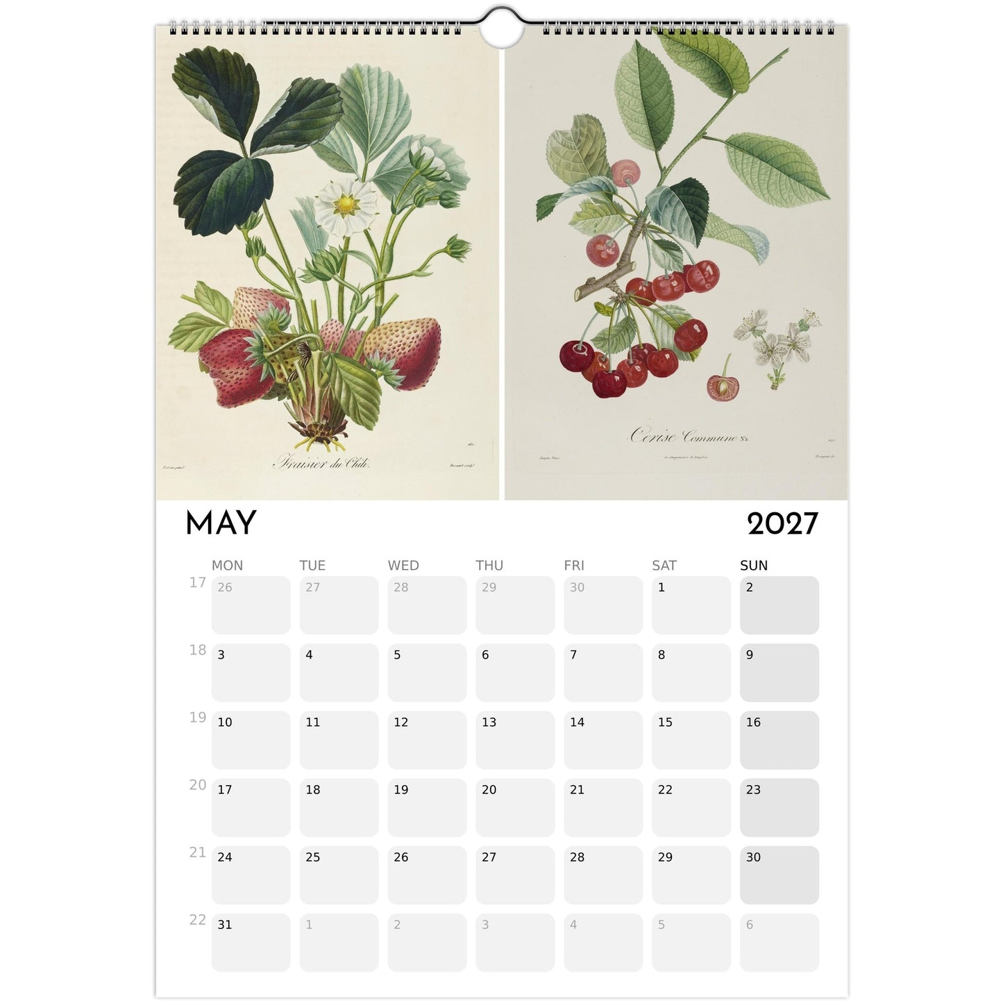 Botanical Fruit Calendar 2027 - May