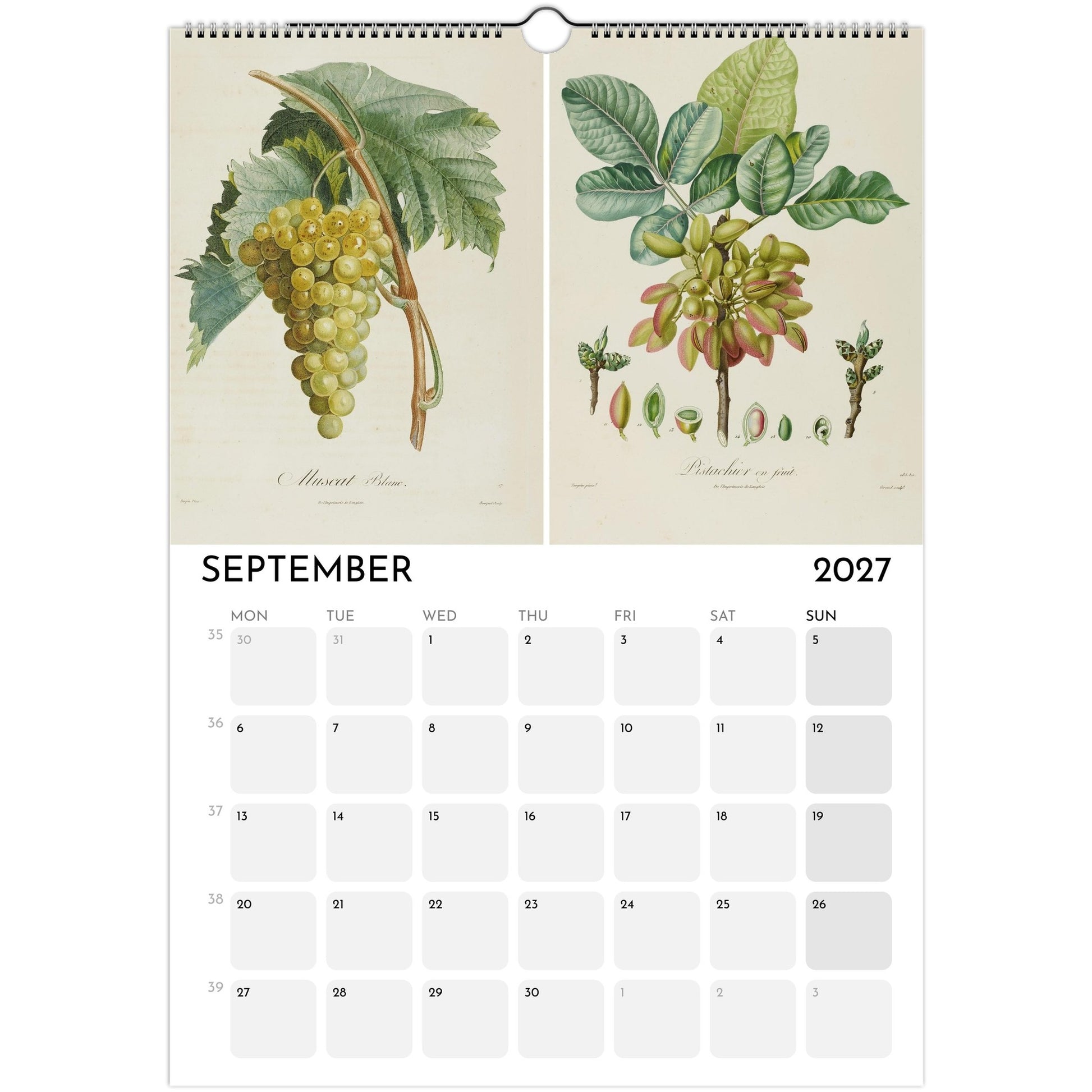 Botanical Fruit Calendar 2027 - September