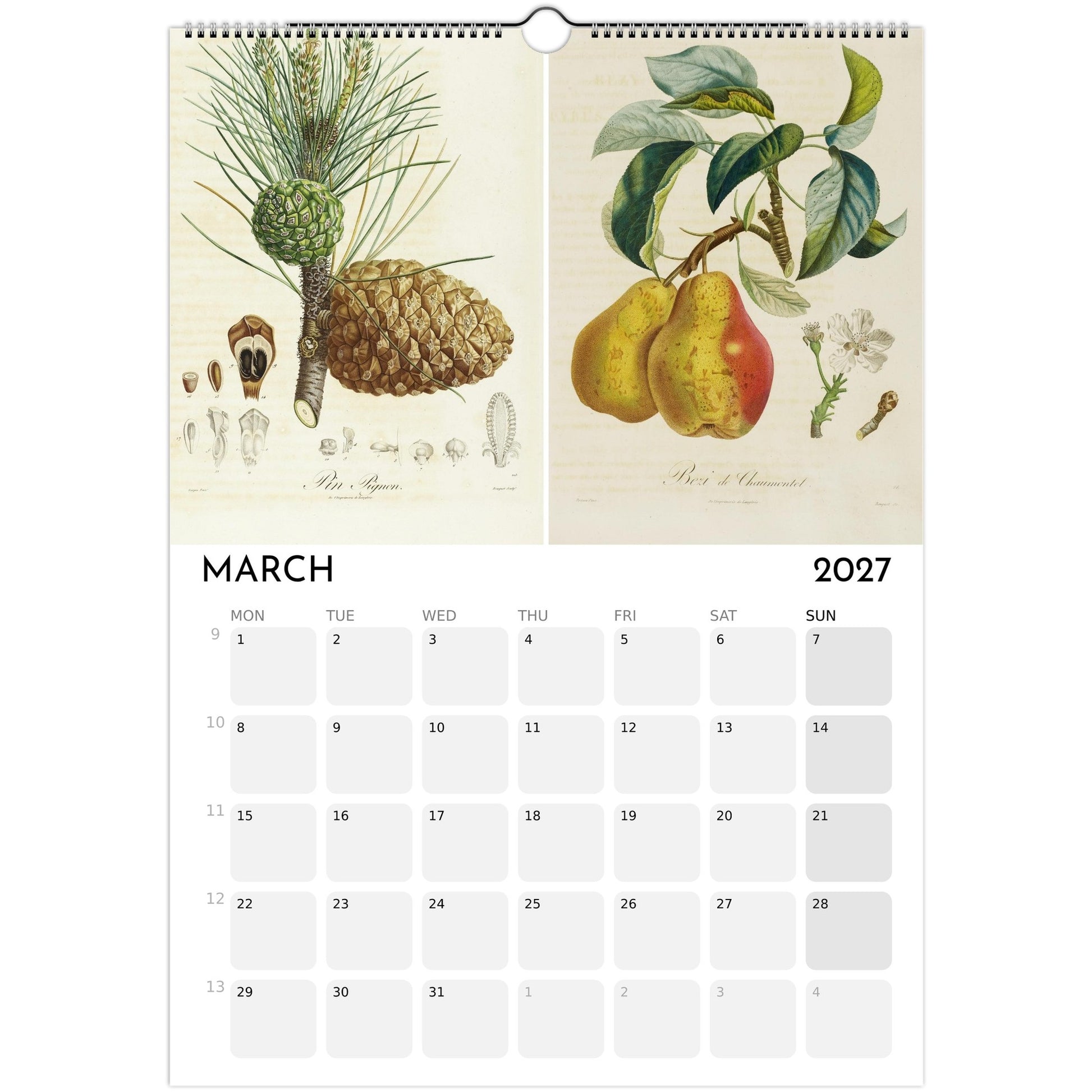 Botanical Fruit Calendar 2027 - March