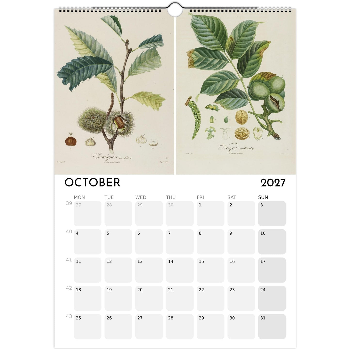 Botanical Fruit Calendar 2027 - October