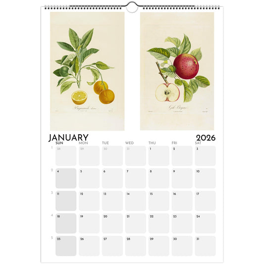 2026 botanical calendar featuring fruit illustrations January