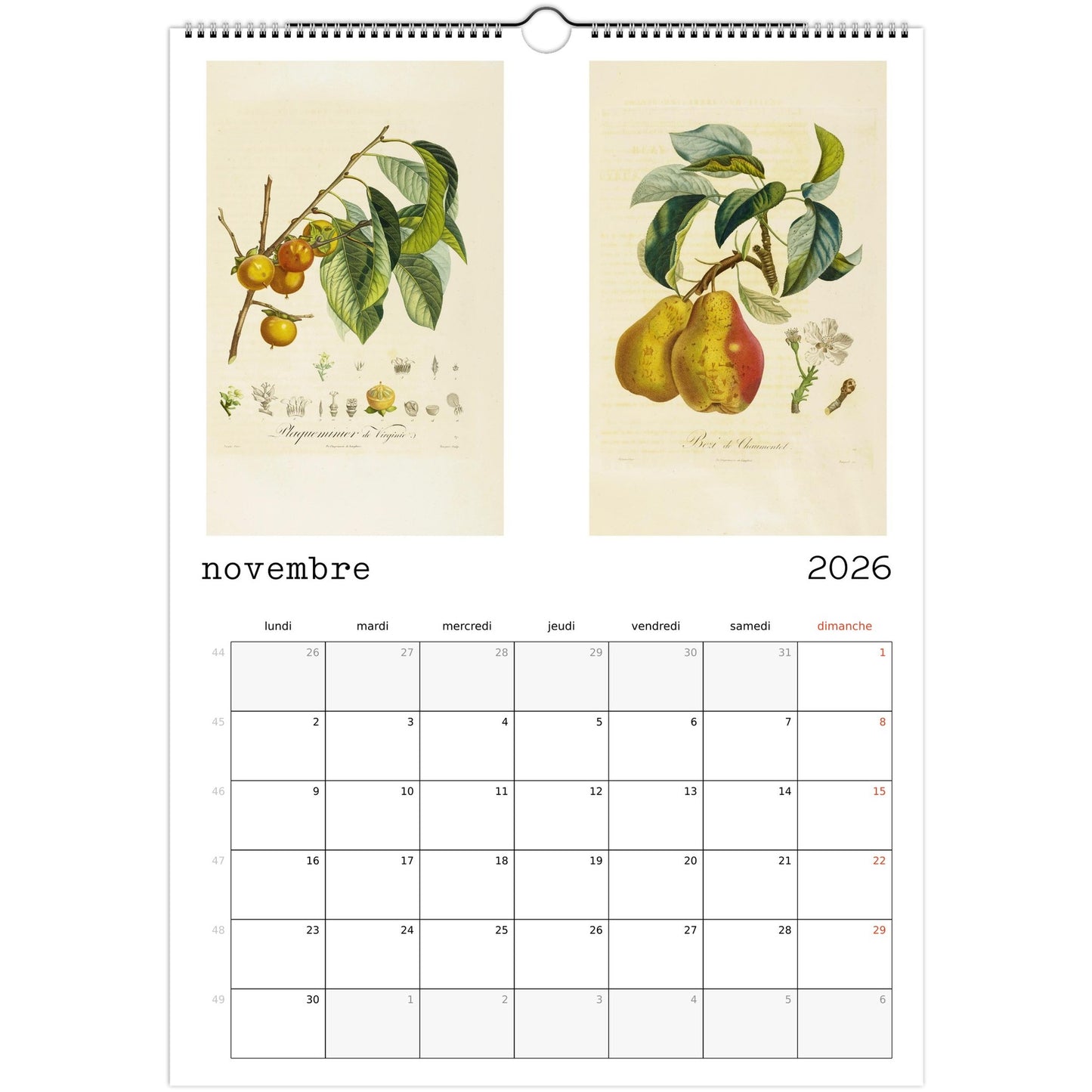 20ed48e3-ba73-4148-aa6b-c5edfa0e6b8f