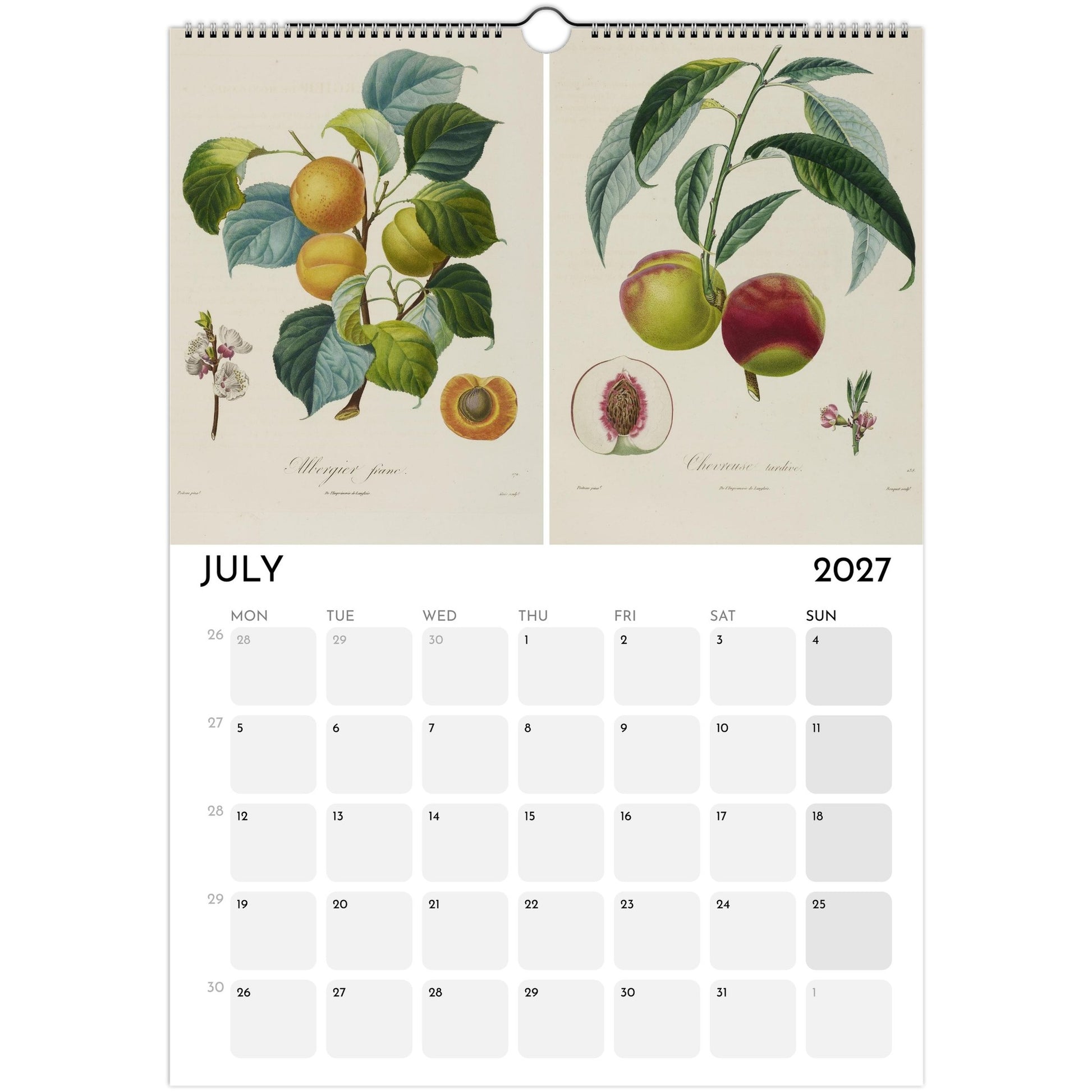 Botanical Fruit Calendar 2027 - July
