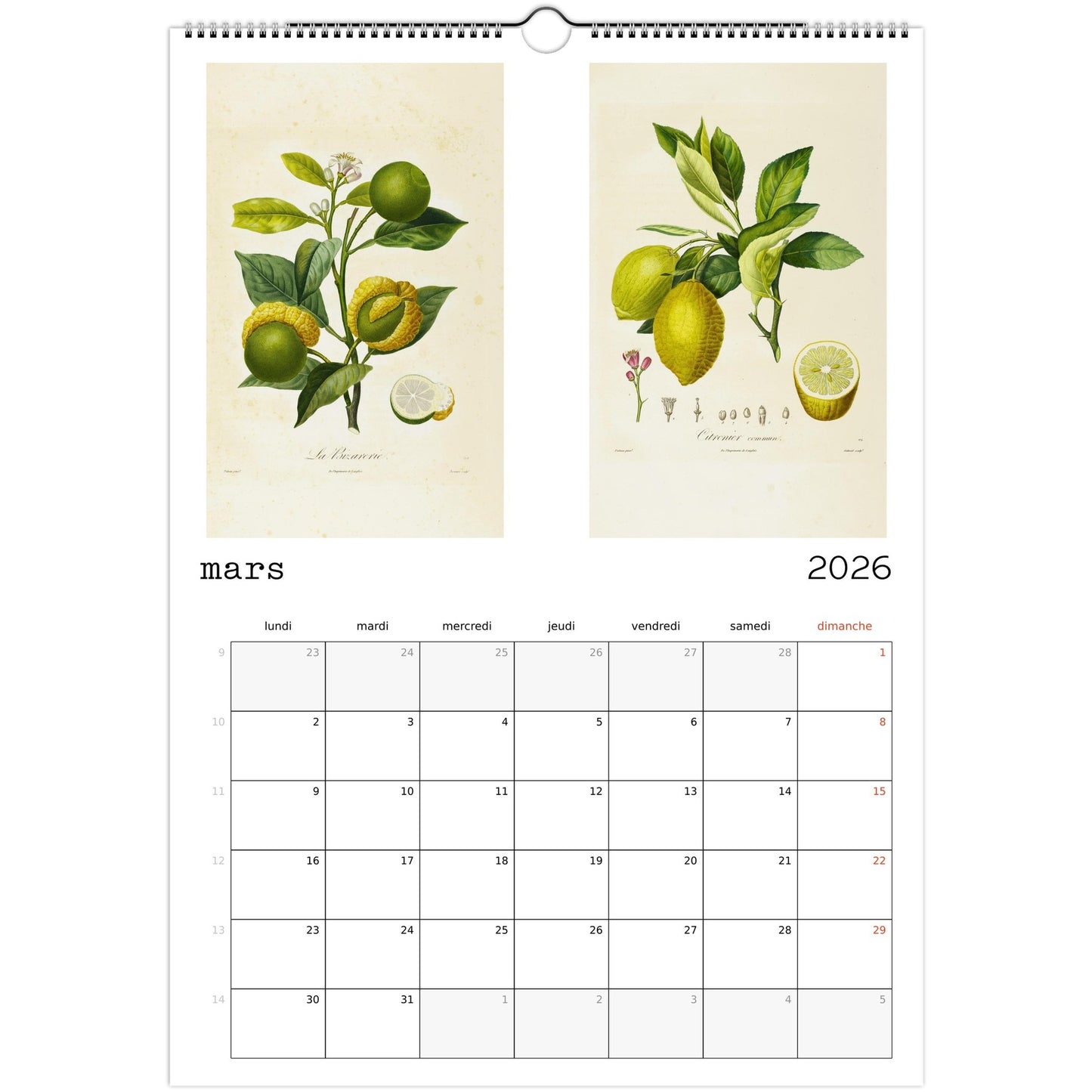 471483b3-ab1c-4393-93f6-cd8340bdcbc3