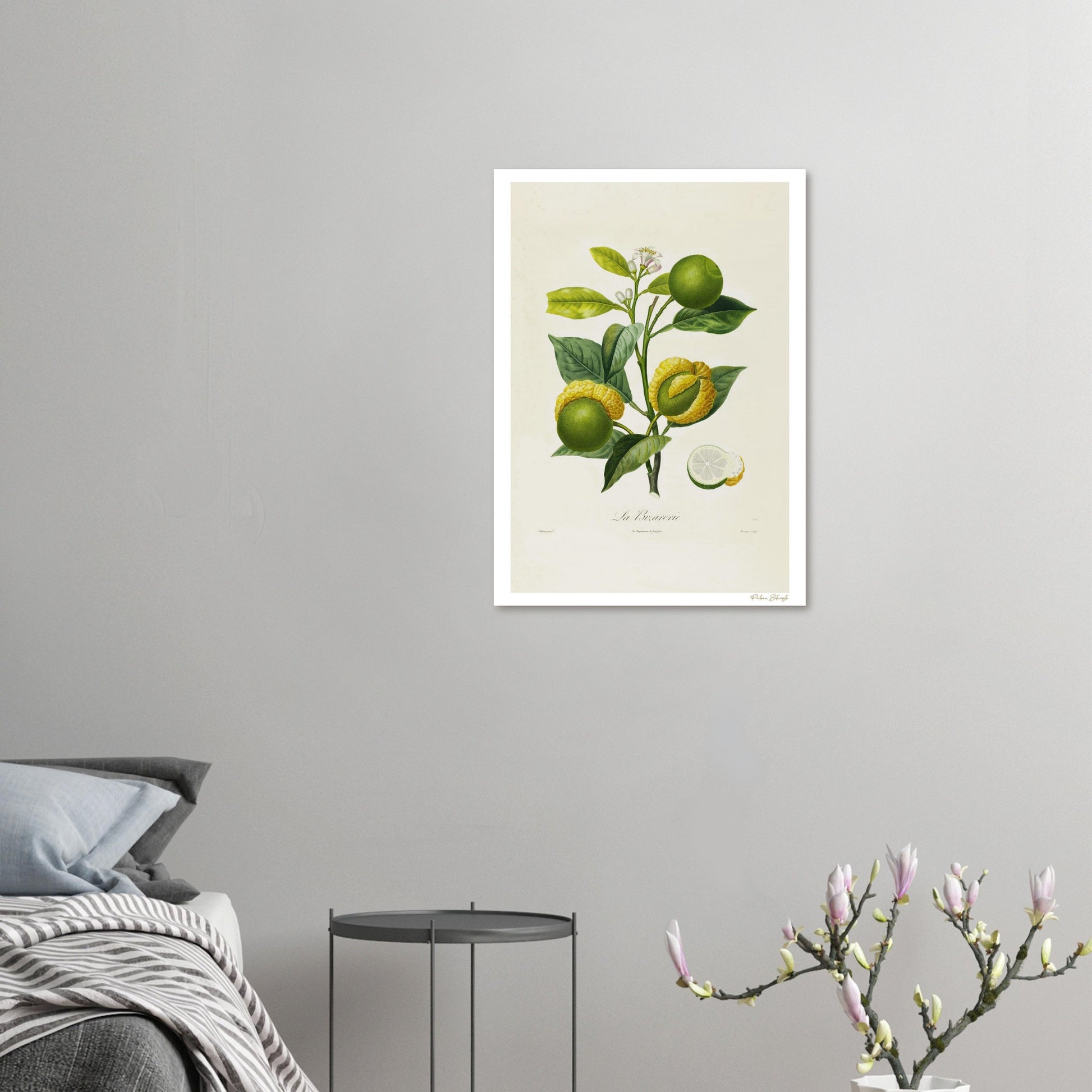 52487b5d-81b5-4618-b5e2-e7536265d857