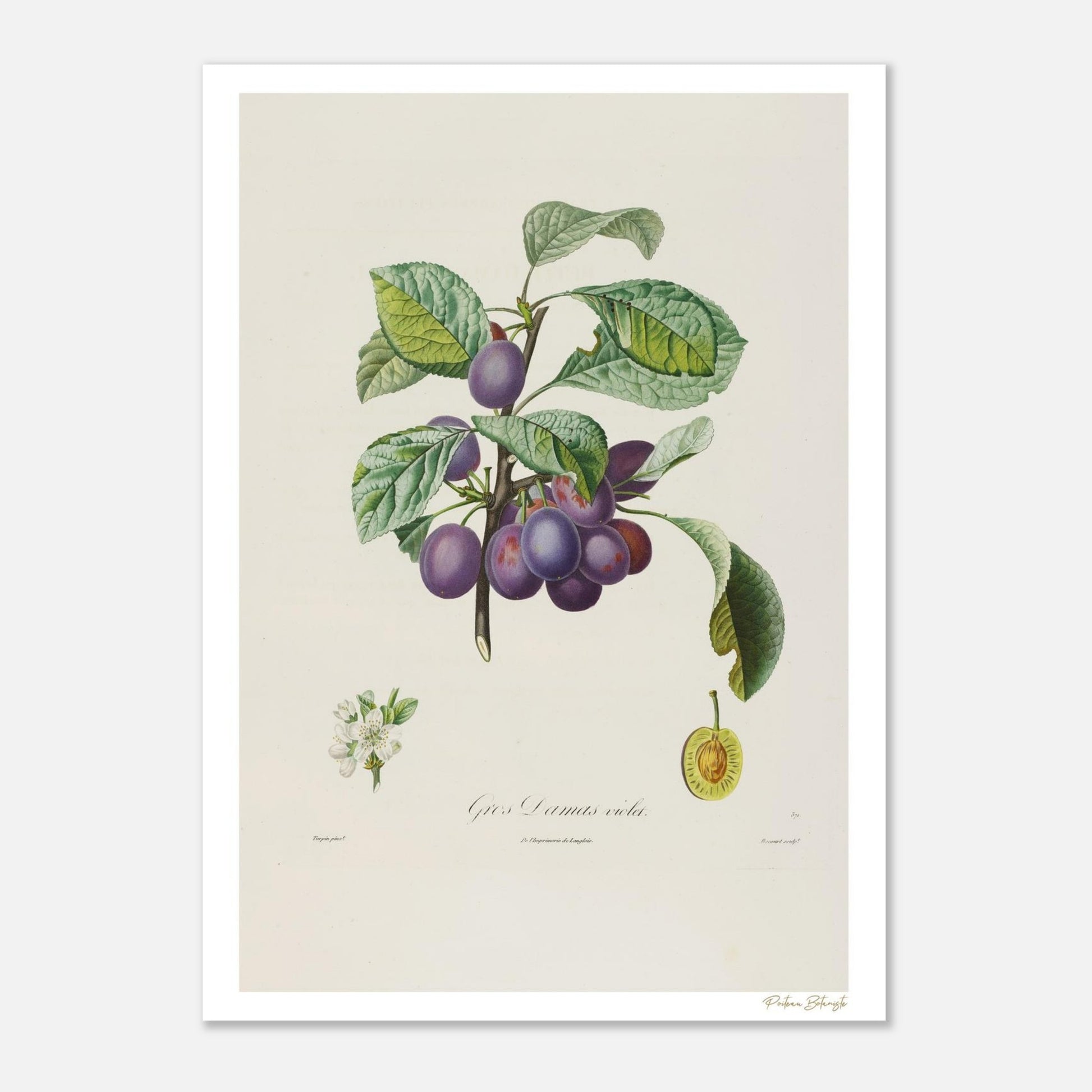 5a05f15b-8bb9-40b3-a536-79cdbce1b846