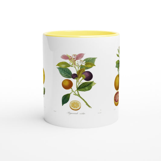 65464d2e-8a01-4353-bdd0-4e5090789a61