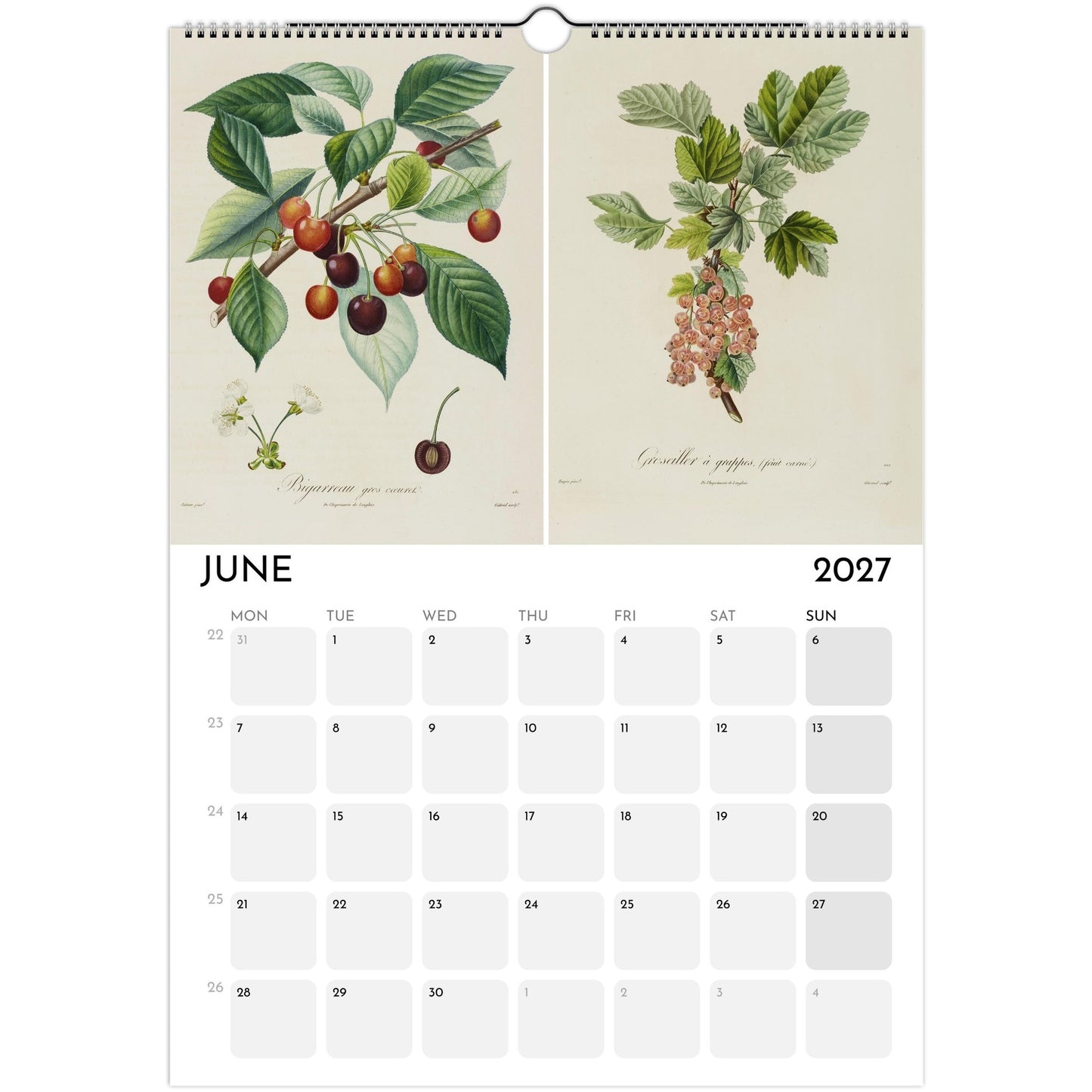 Botanical Fruit Calendar 2027 - June