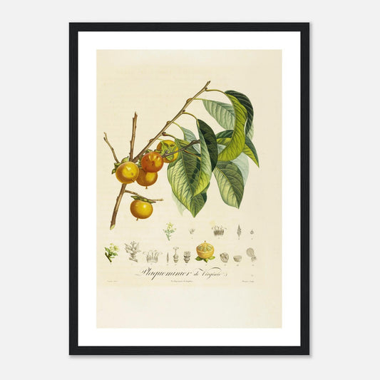 6bab652e-5966-4ab5-908c-81623267875f