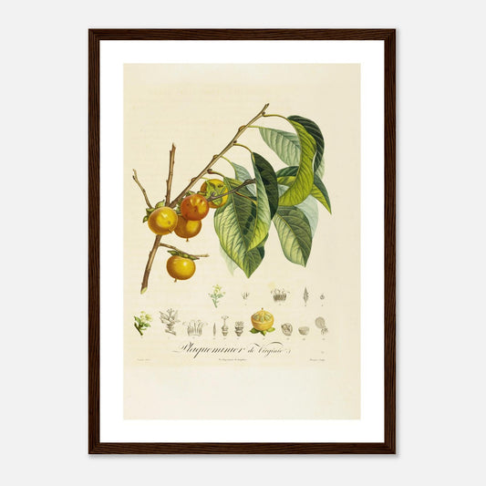 80c86a49-2d2a-40e3-bbb8-c43a4d7ba68f