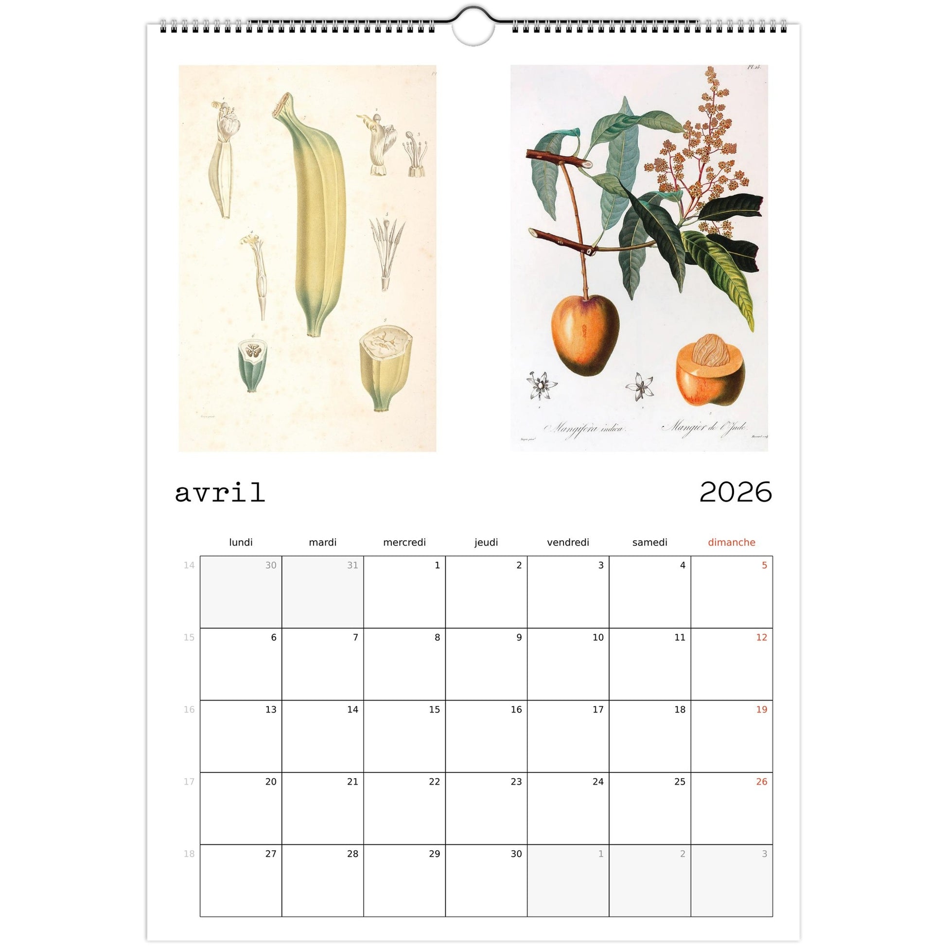 8e1b8f2d-f4a5-4eda-a783-f7b017856f03