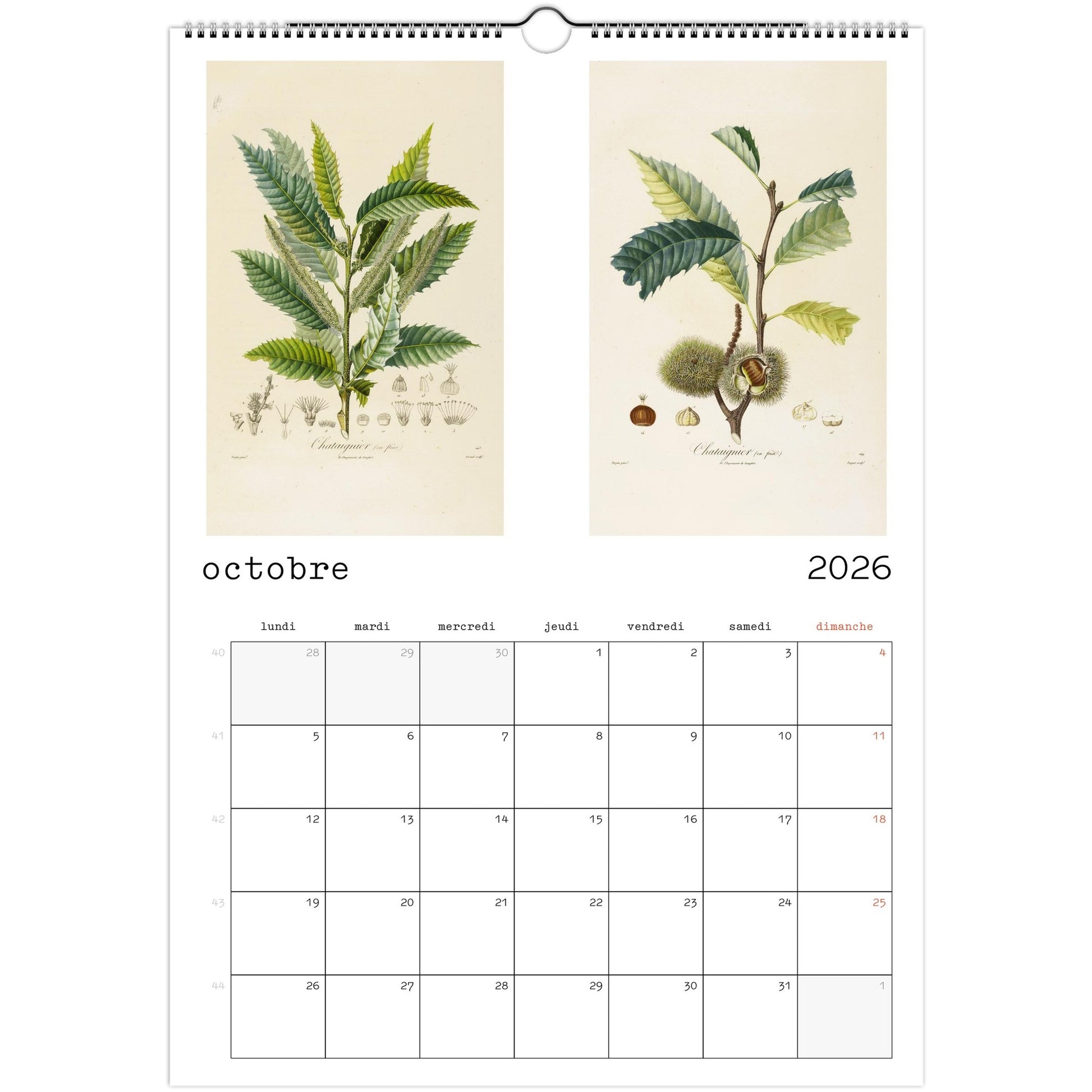 97798141-5f14-4c6f-a39d-c344fae80ddf