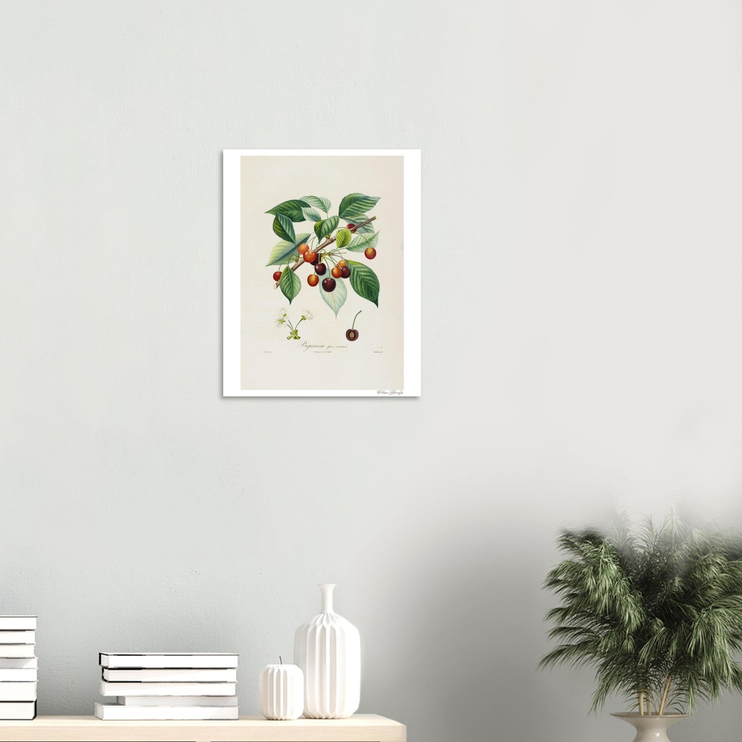 Affiche décoration Cerise Bigarreau gros coeuret bureau
