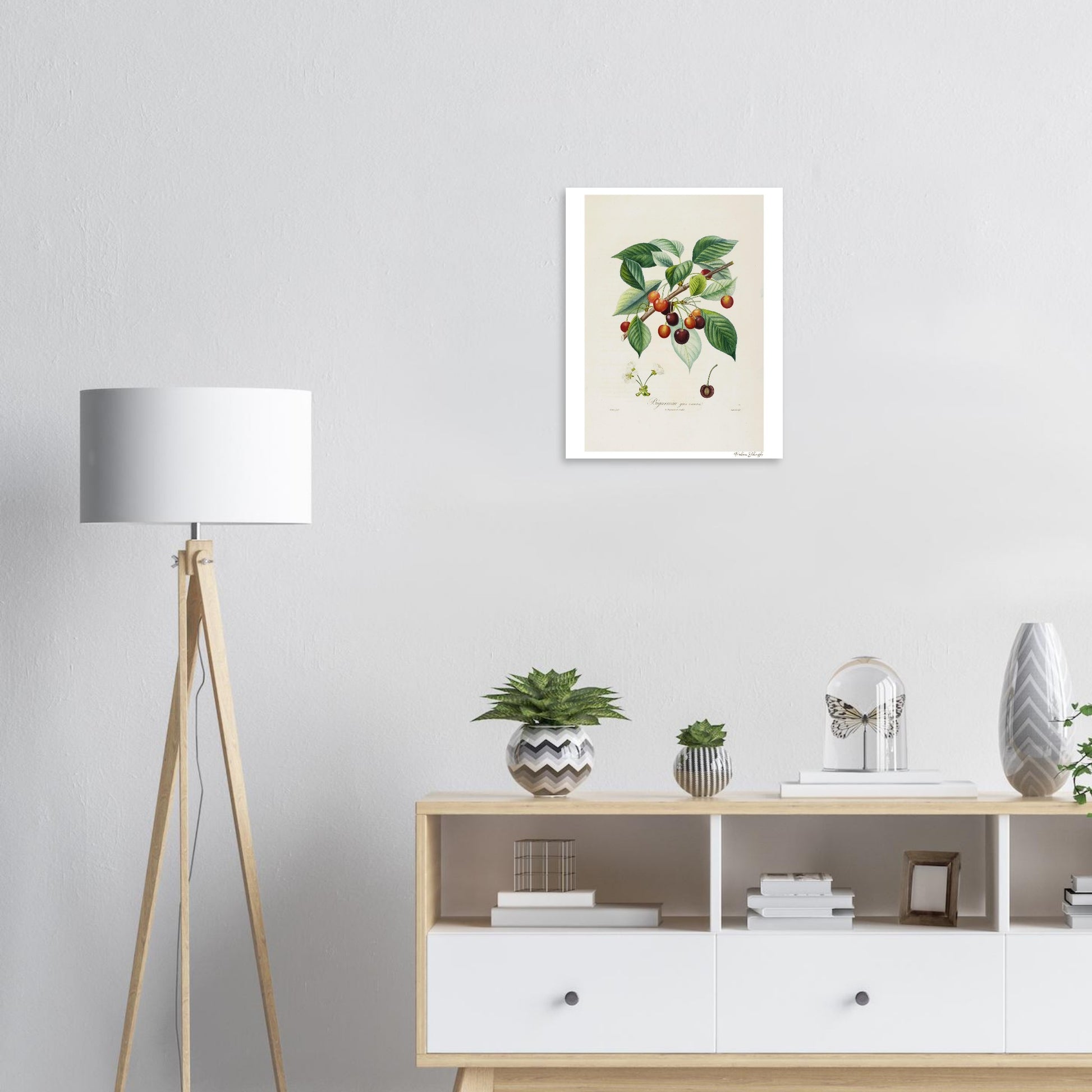 Affiche décoration Cerise Bigarreau gros coeuret bureau 2