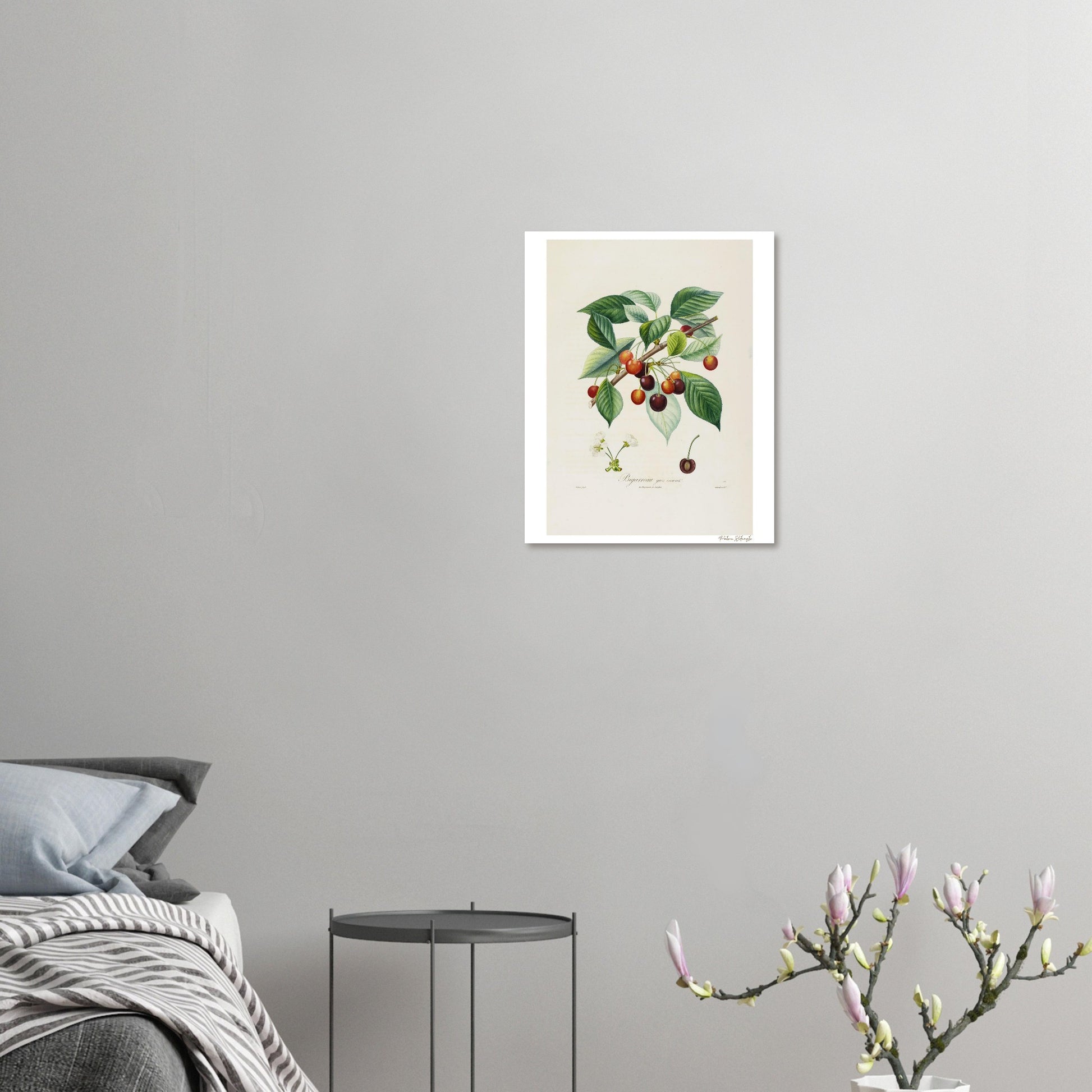 Affiche décoration Cerise Bigarreau gros coeuret chambre