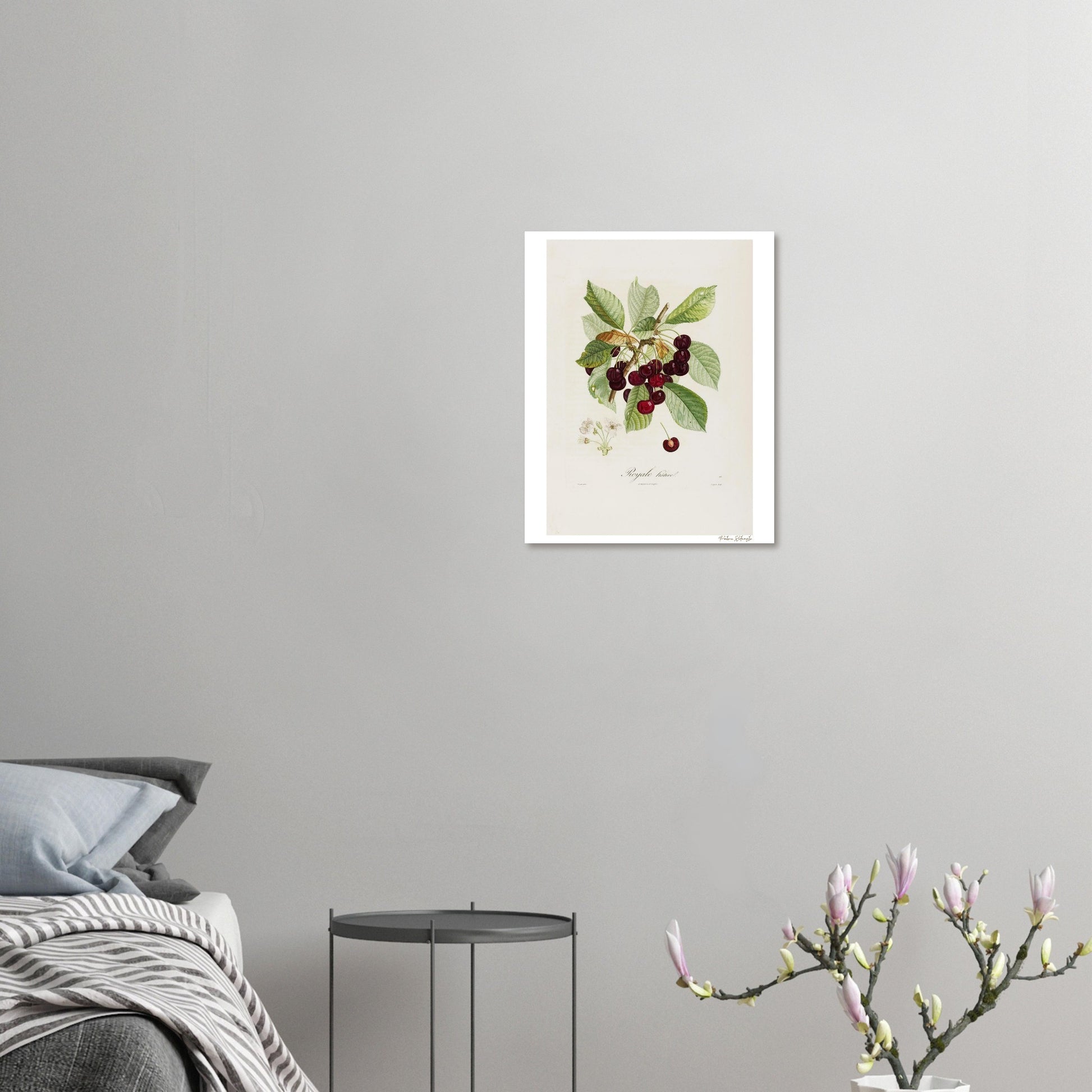 Affiche décoration satinée Cerise Royale Hative chambre