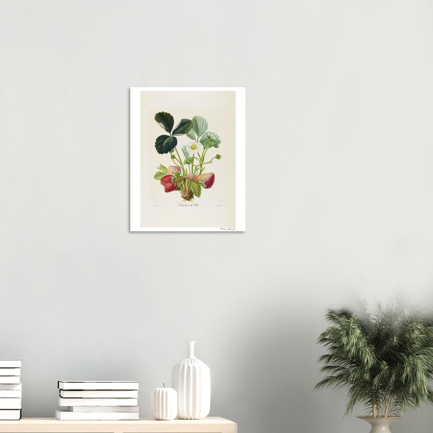Affiche décoration satinée Fraise du Chili bureau 1
