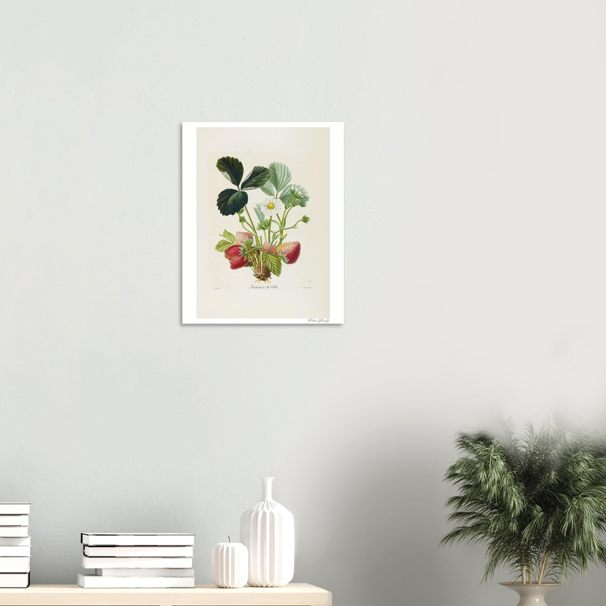 Affiche décoration satinée Fraise du Chili bureau 1