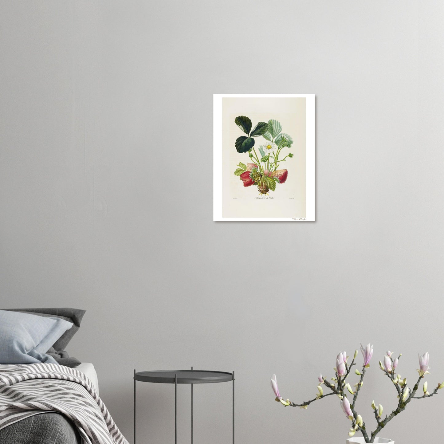 Affiche décoration satinée Fraise du Chili chambre