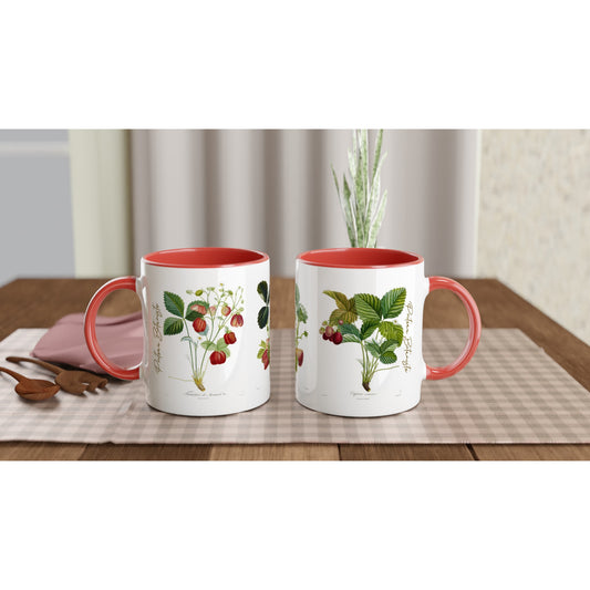 Deux Mugs fraises illustration botanique vintage anse et interieur rouge