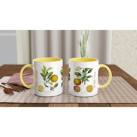Deux Mugs oranges illustration botanique vintage anse et interieur jaune