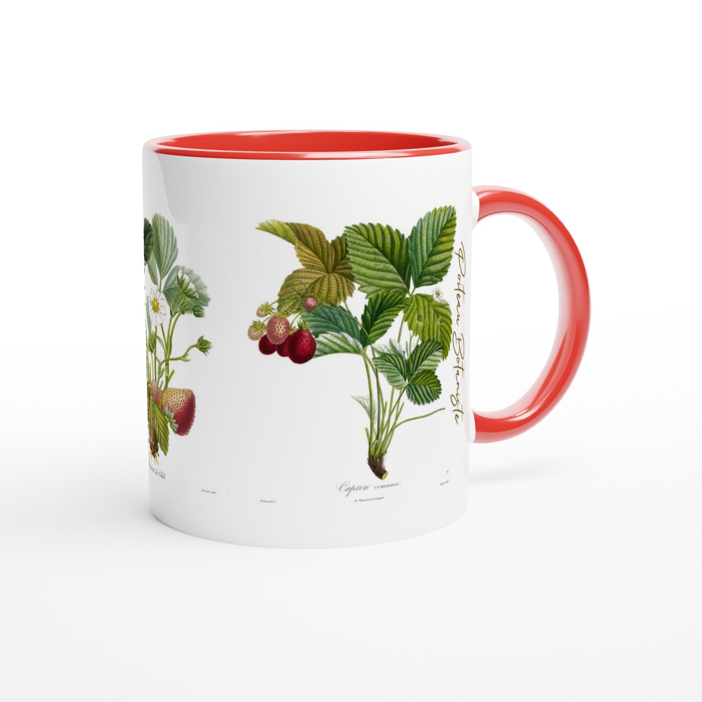Mug fraise capron commun illustration botanique vintage anse et intérieur rouge