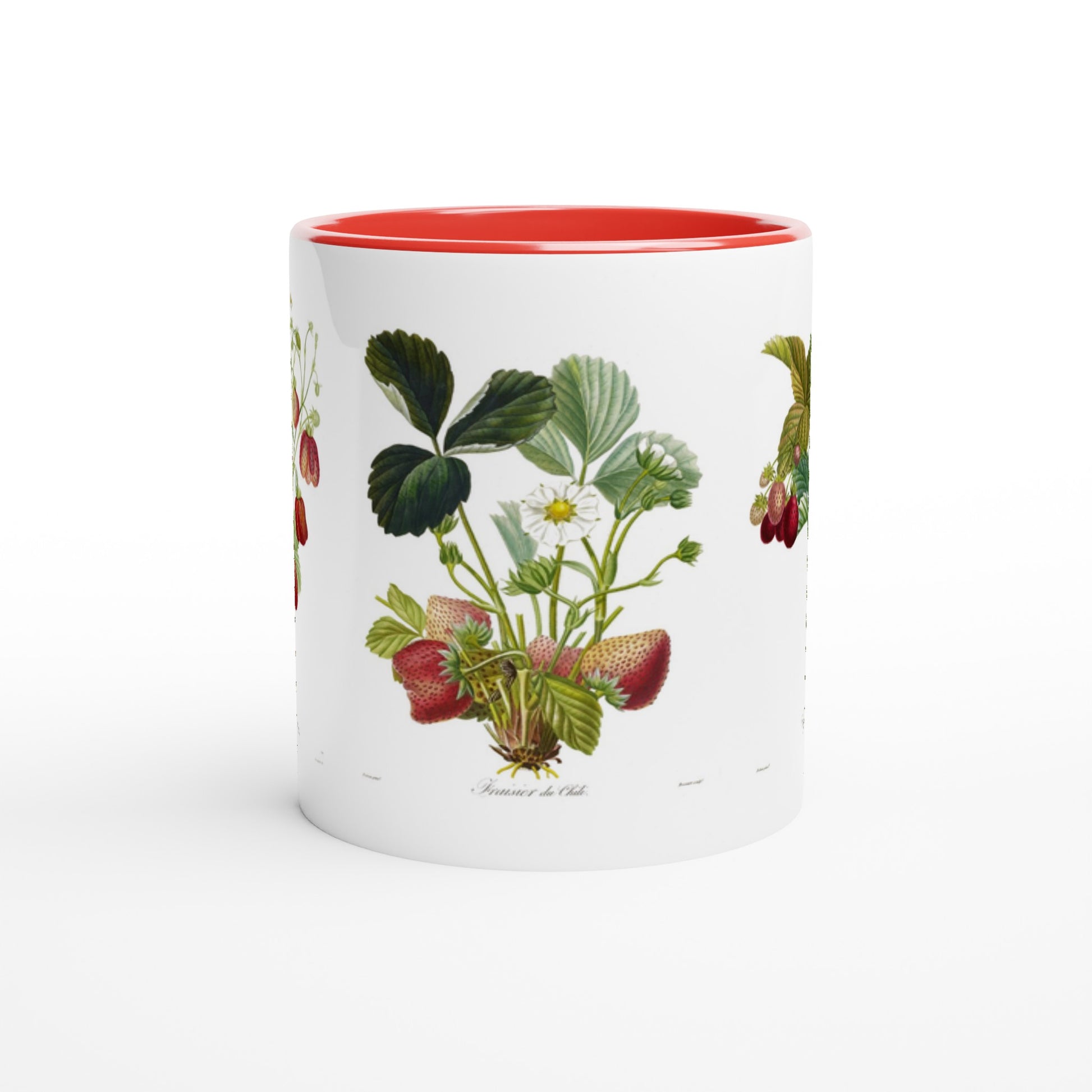 Mug fraise du Chili illustration botanique vintage anse et interieur rouge