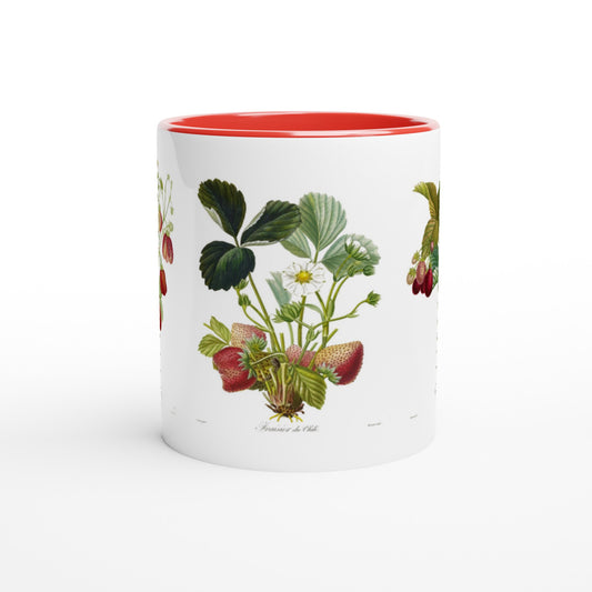 Mug illustration botanique fraise du Chili anse et interieur rouge