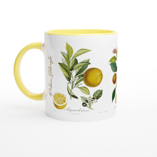 Mug illustration botanique orange bigarade couronnee anse et interieur jaune