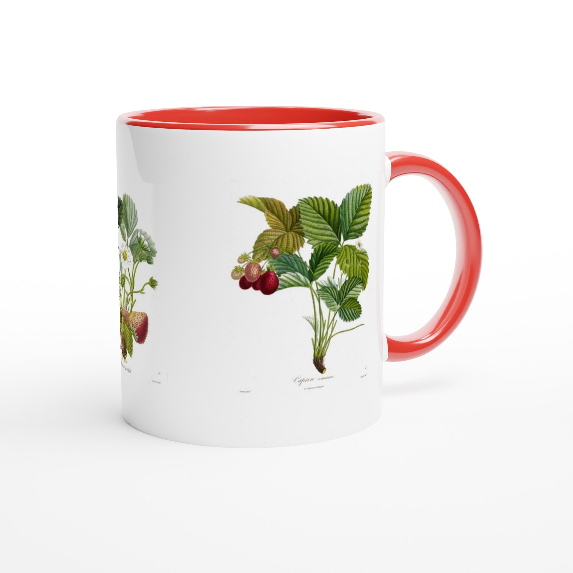 Mug illustration fraise capron commun anse et interieur rouge