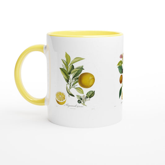 Mug illustration orange bigarade couronnee anse et interieur jaune
