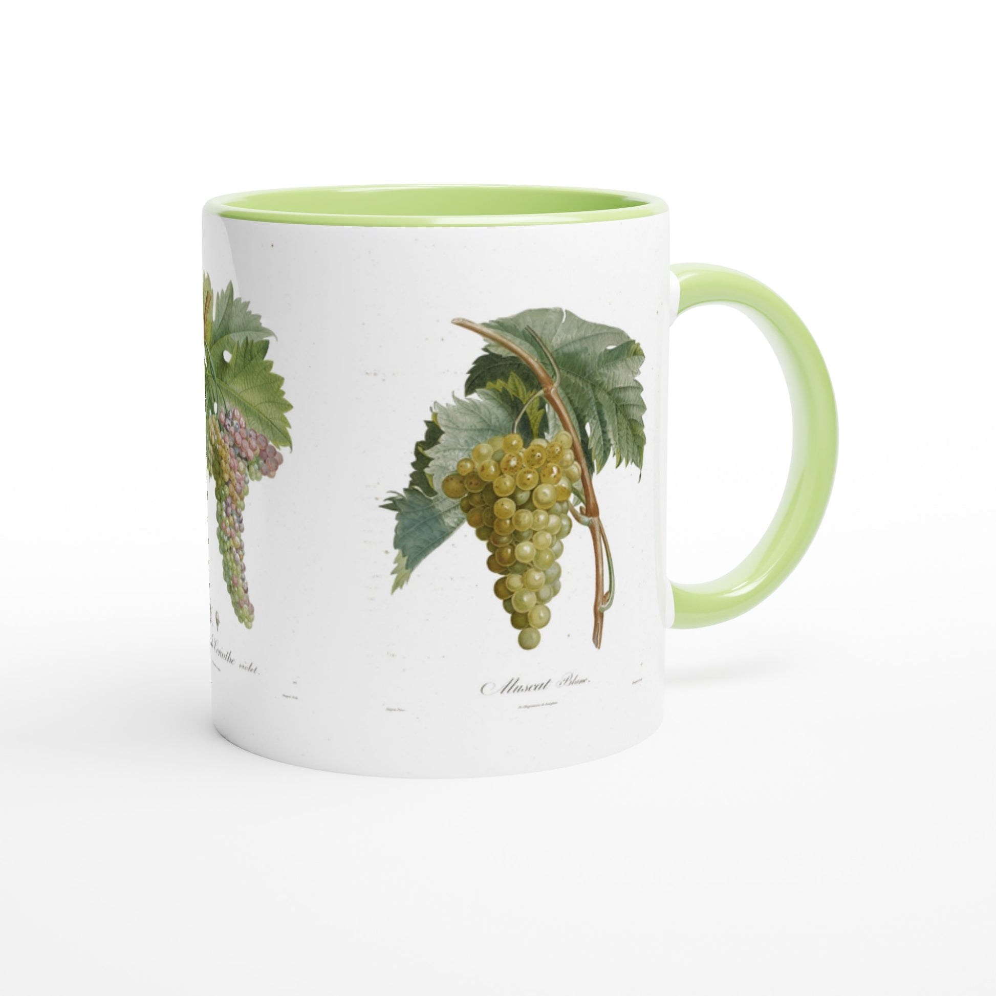 Mug illustration raisin muscat blanc anse et interieur vert