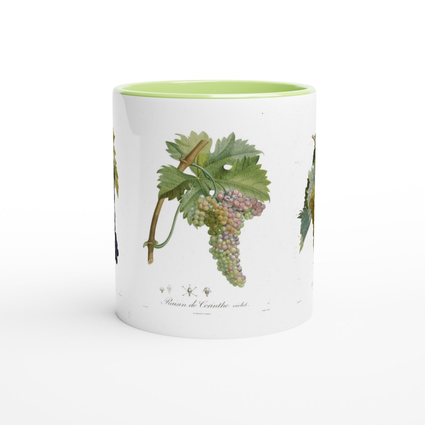 Mug raisin corinthe illustration botanique vintage anse et interieur vert