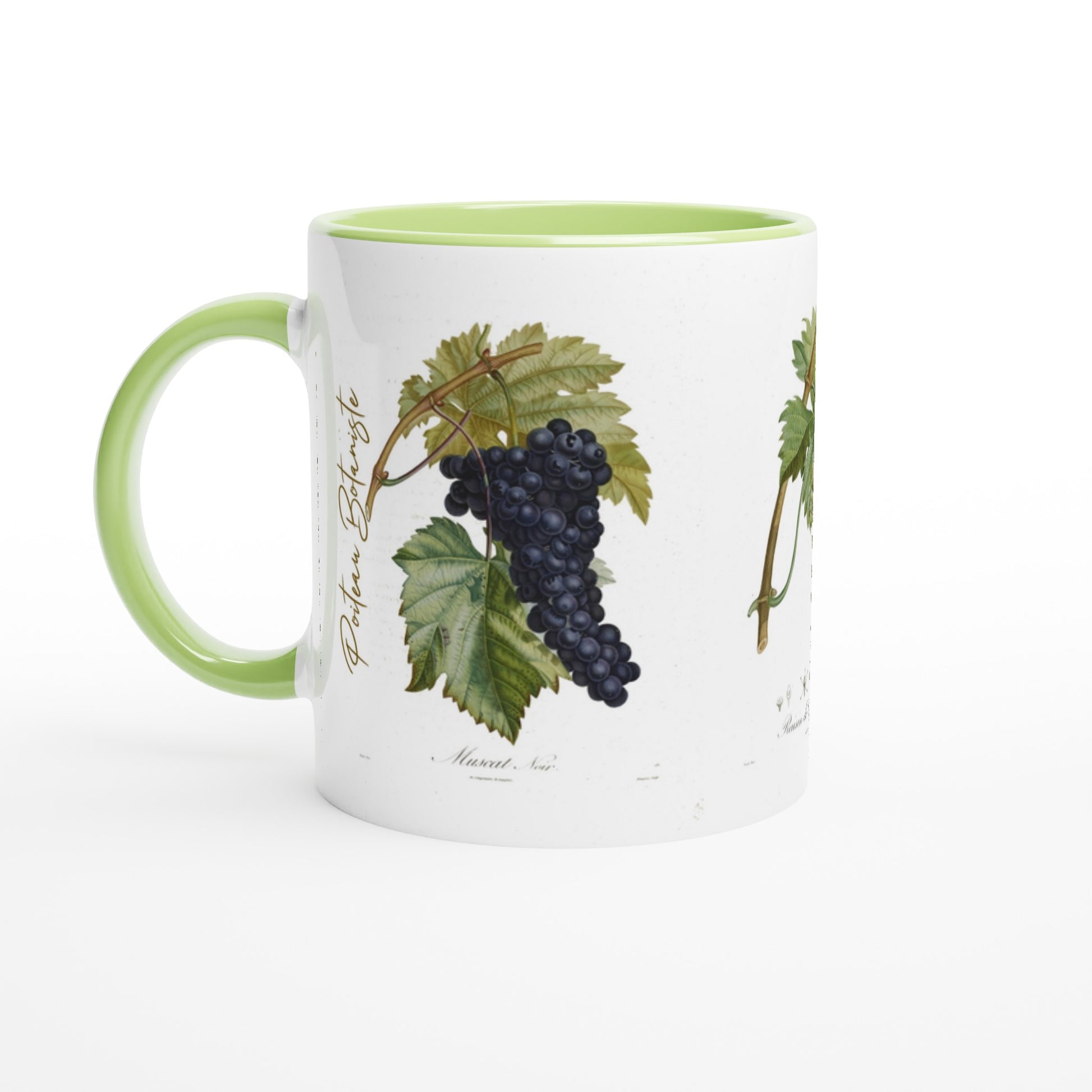 Mug raisin illustration botanique vintage muscat noir anse et interieur vert
