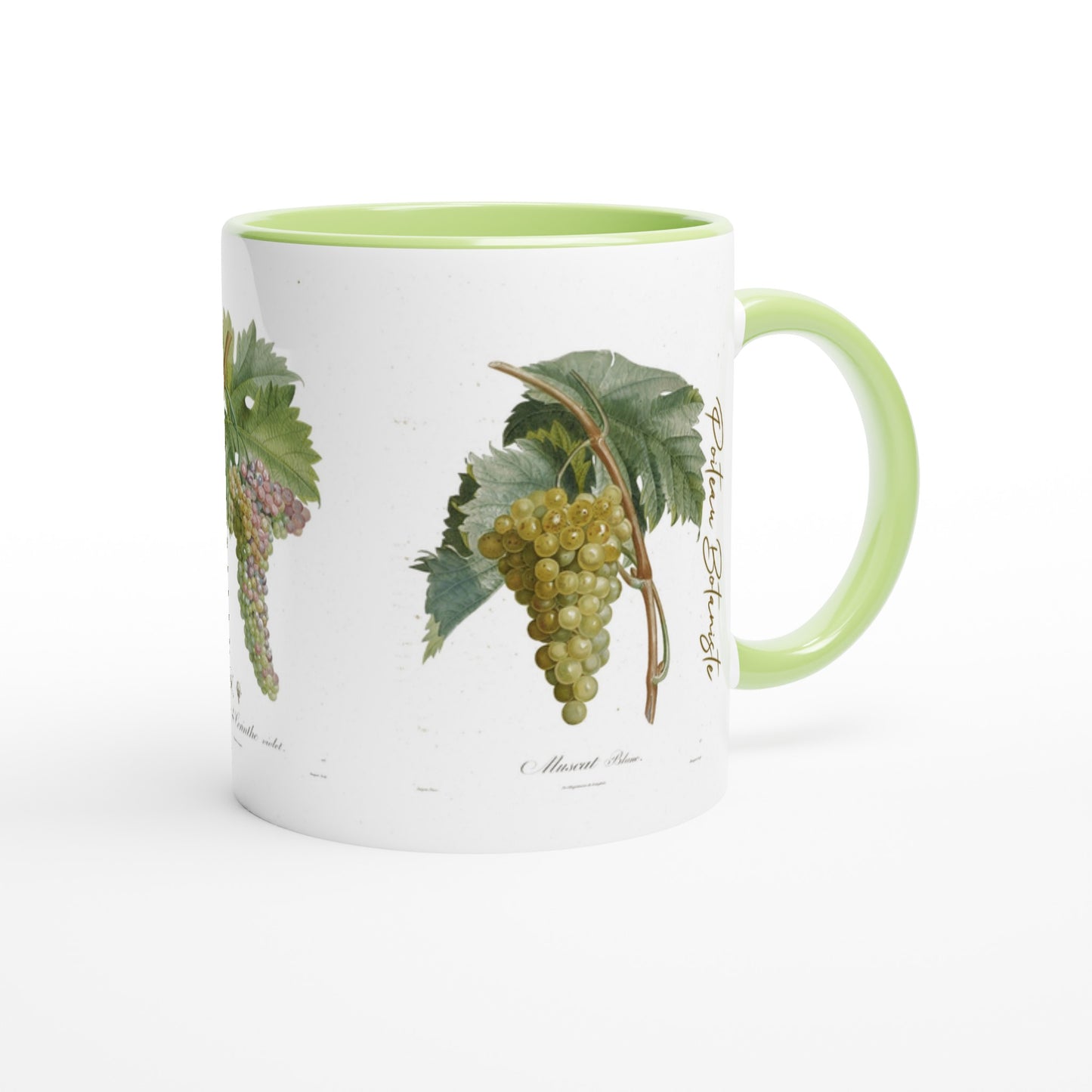 Mug raisin muscat blanc illustration botanique vintage anse et interieur vert