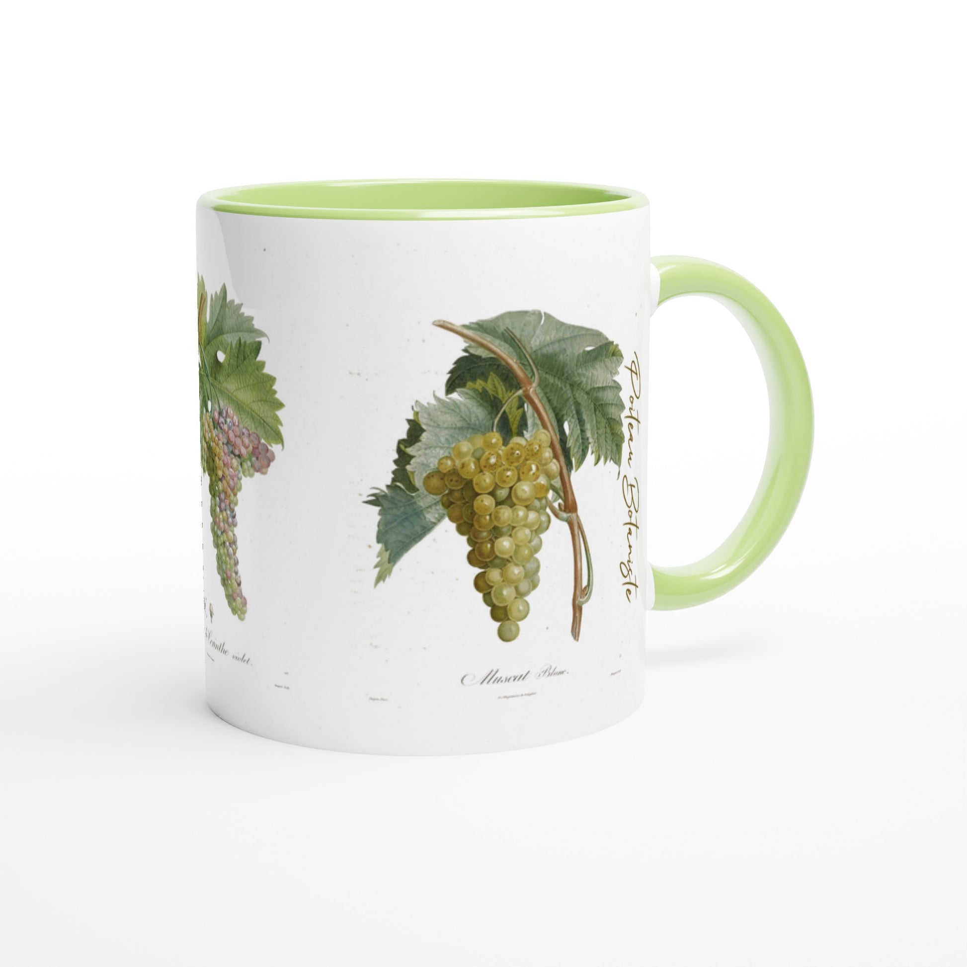 Mug raisin muscat blanc illustration botanique vintage anse et interieur vert