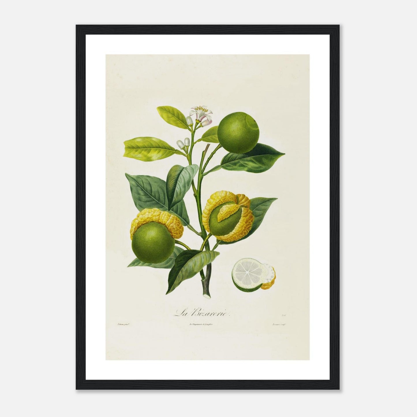 Orange La Bizarrerie Affiche A3 cadre bois noir