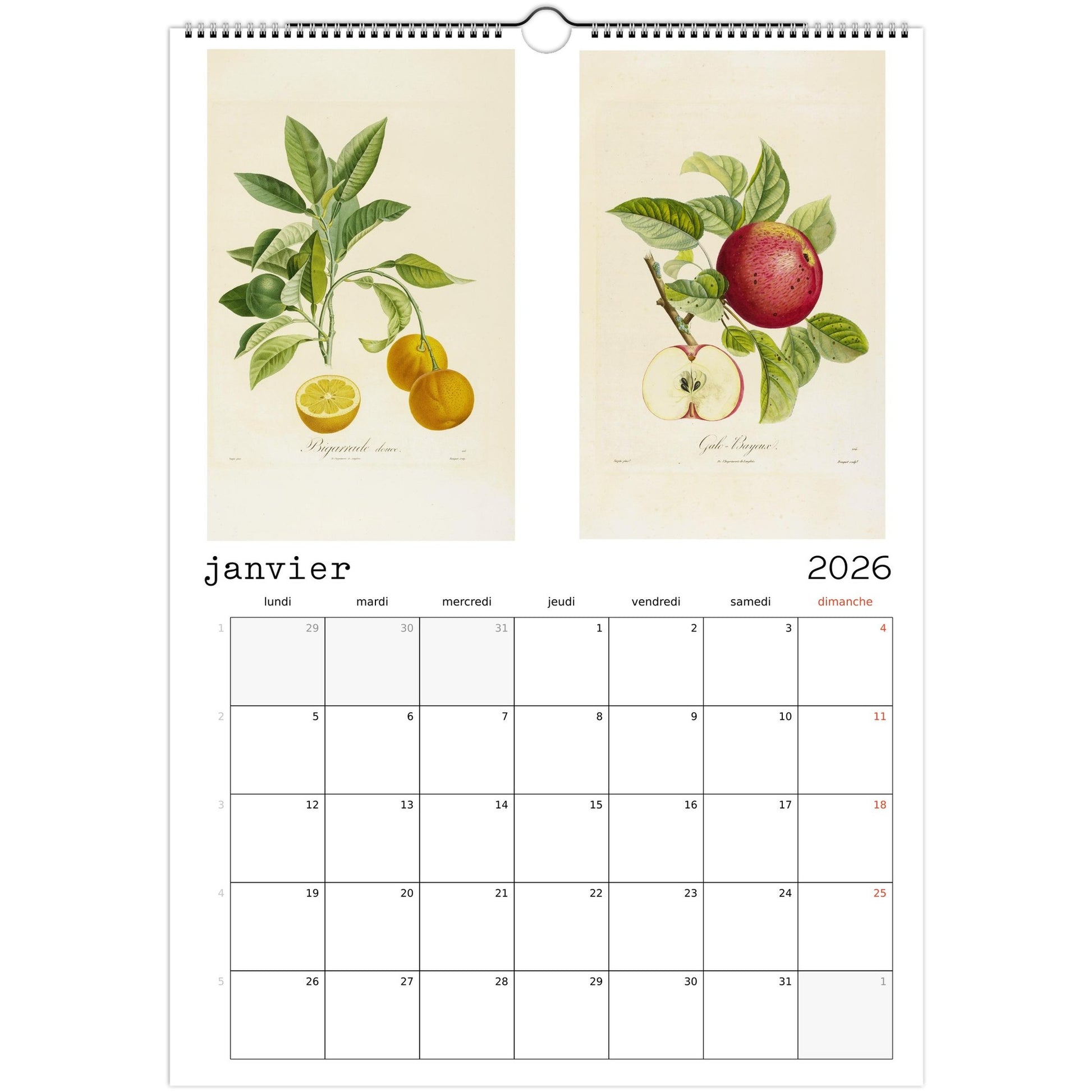 a094f498-f5b0-4721-8ad7-ebefe1a4f375