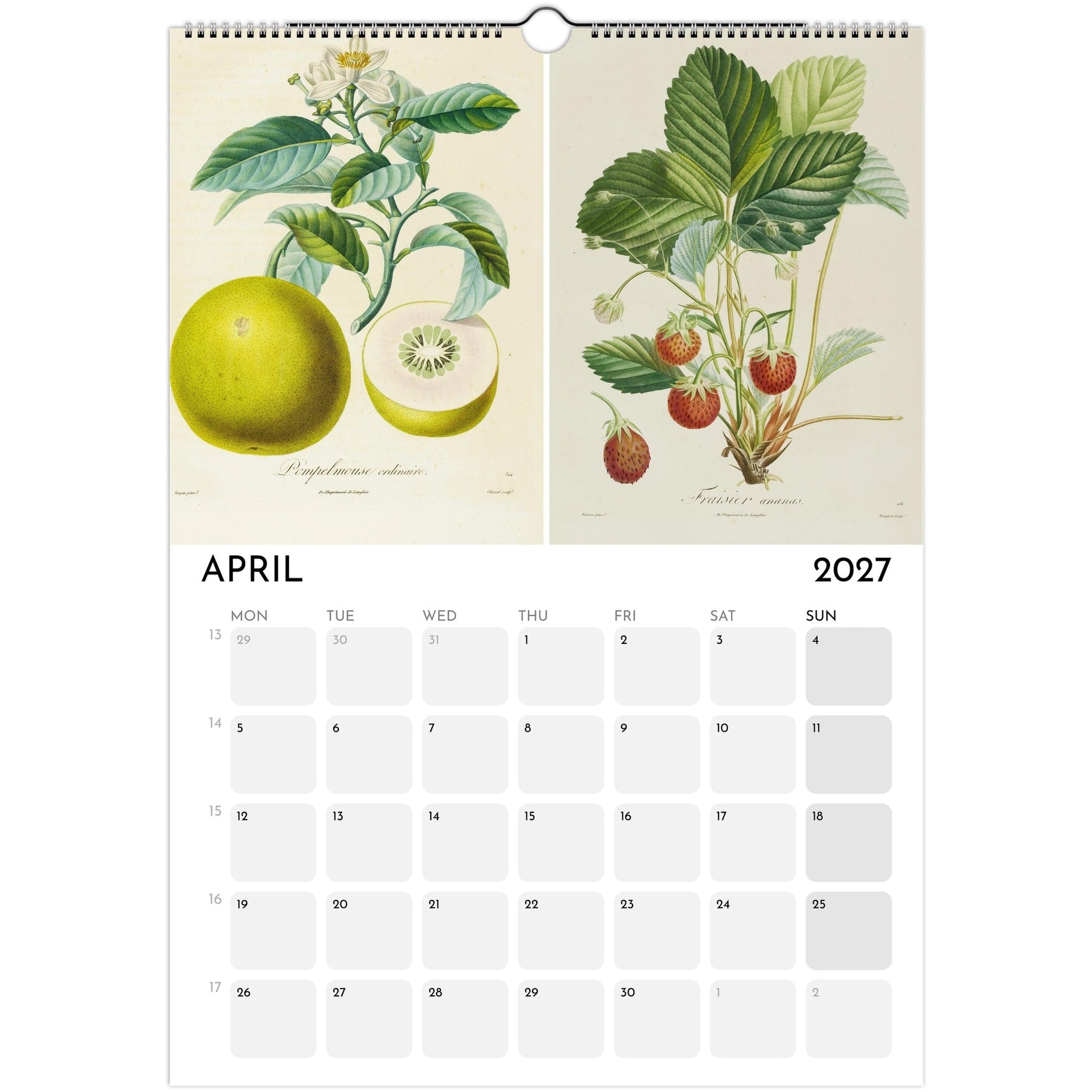 Botanical Fruit Calendar 2027 - April