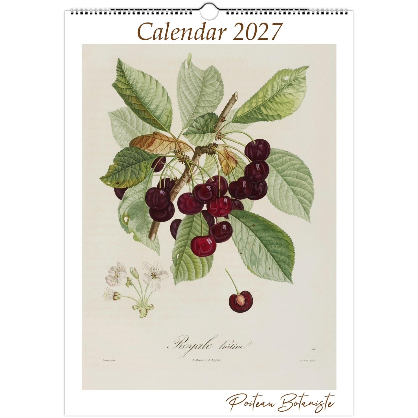 Botanical Fruit Calendar 2027 featuring vintage fruit illustrations by Poiteau & Turpin. Premium A3 wall calendar celebrating seasonal botanical art.