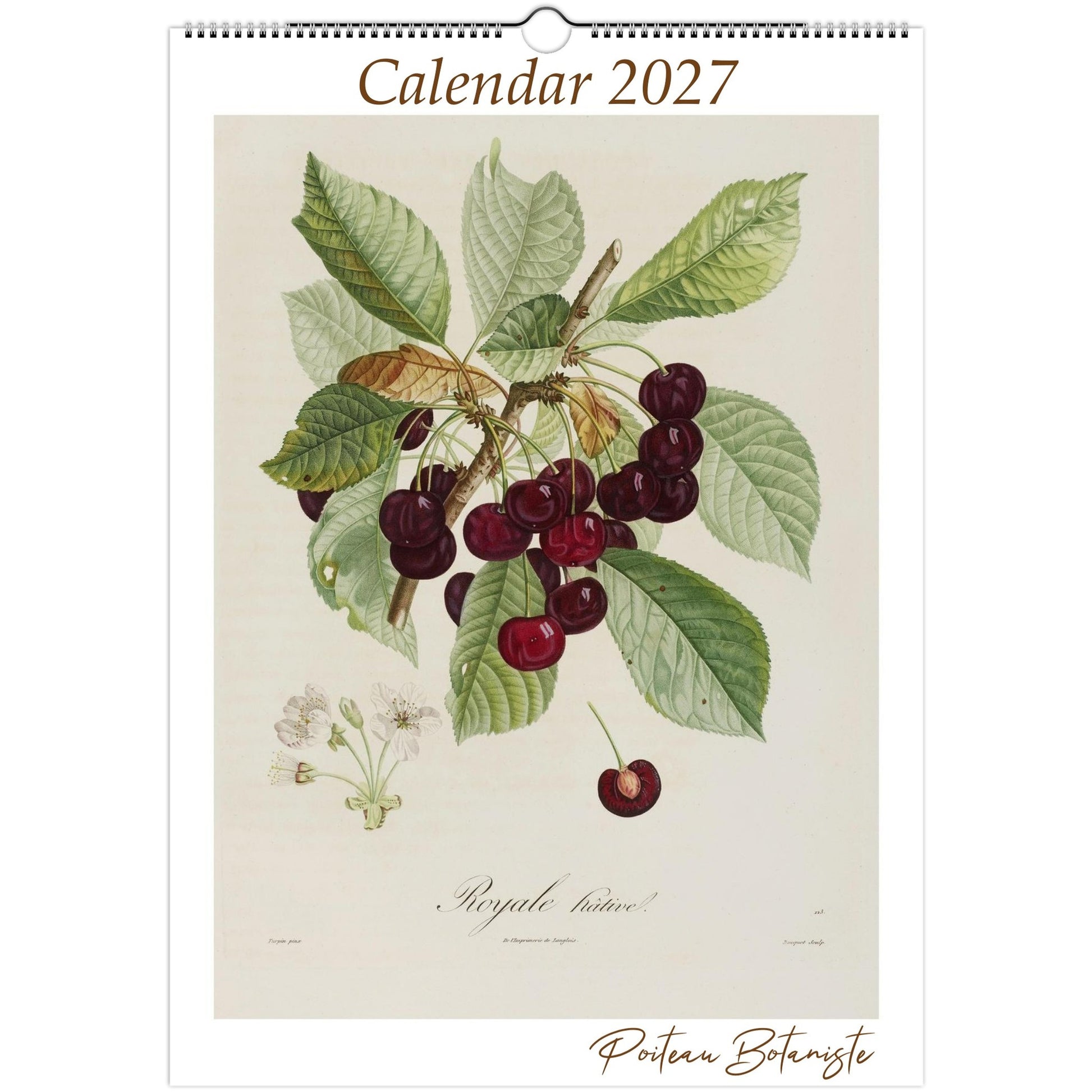 Botanical Fruit Calendar 2027 featuring vintage fruit illustrations by Poiteau & Turpin. Premium A3 wall calendar celebrating seasonal botanical art.