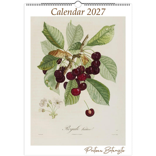 Botanical Fruit Calendar 2027 featuring vintage fruit illustrations by Poiteau & Turpin. Premium A3 wall calendar celebrating seasonal botanical art.